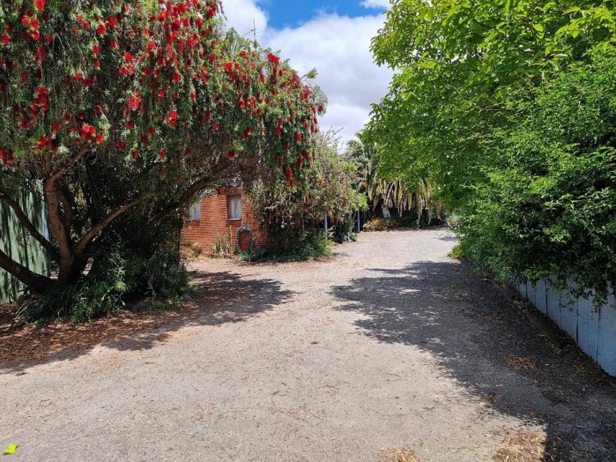 La Cochon Rose Motel Saint Arnaud Dış mekan fotoğraf