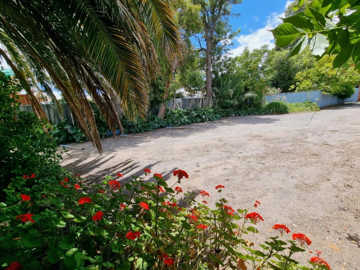 La Cochon Rose Motel Saint Arnaud Dış mekan fotoğraf