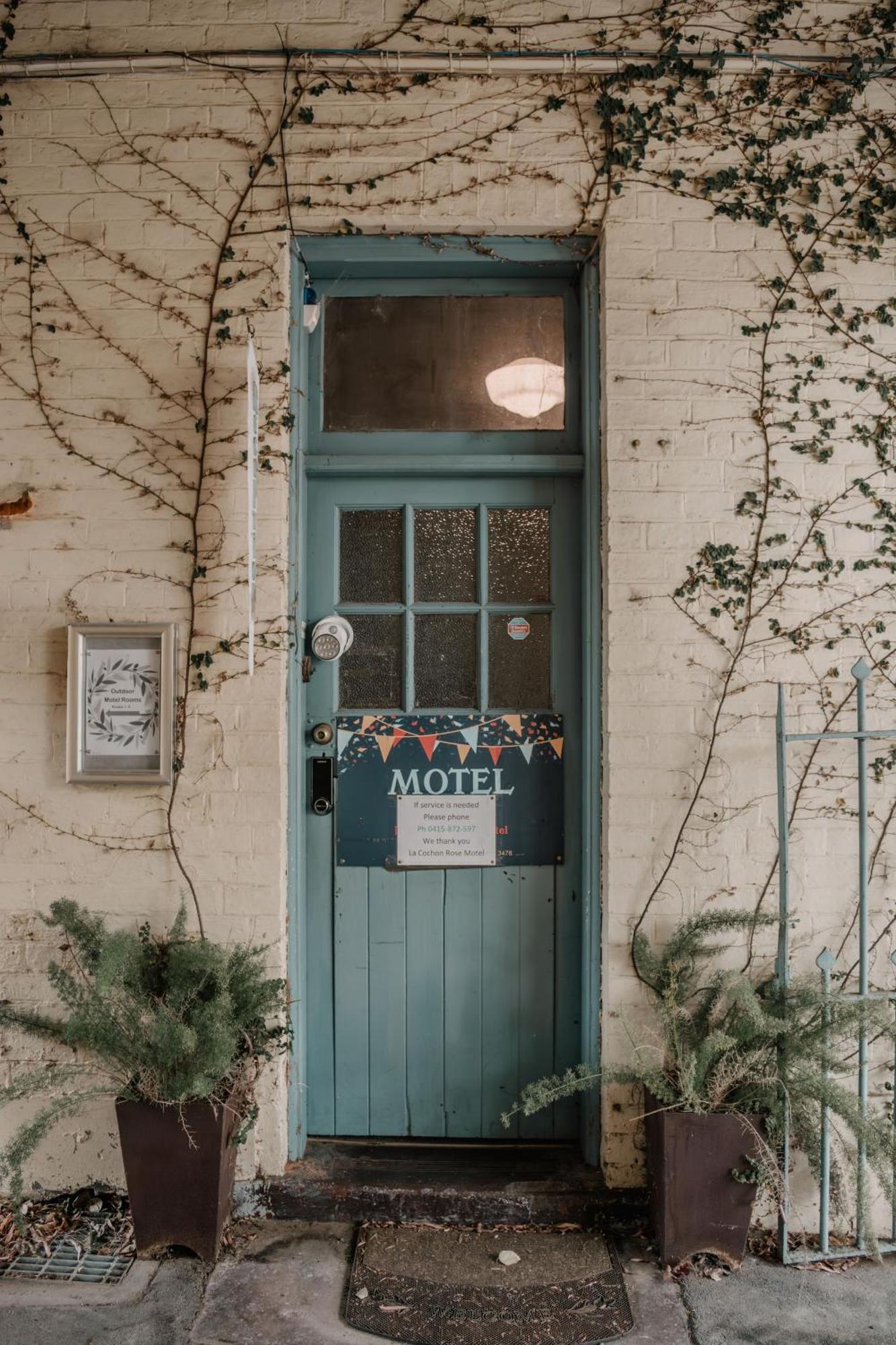 La Cochon Rose Motel Saint Arnaud Dış mekan fotoğraf